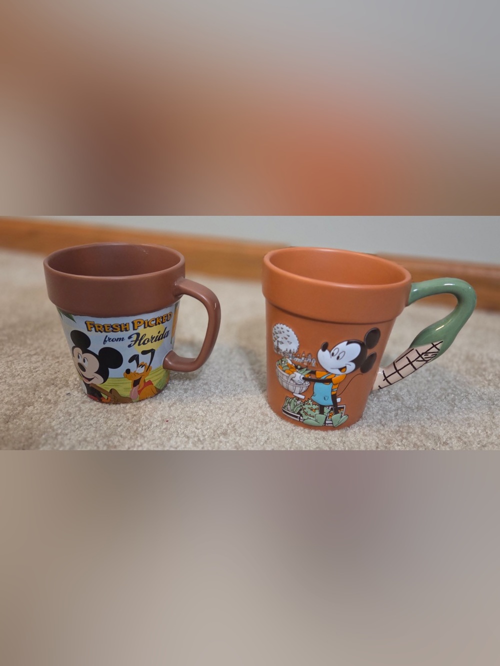 2 Collectible Epcot Flower and Garden Festival Mugs-2018 and 2020